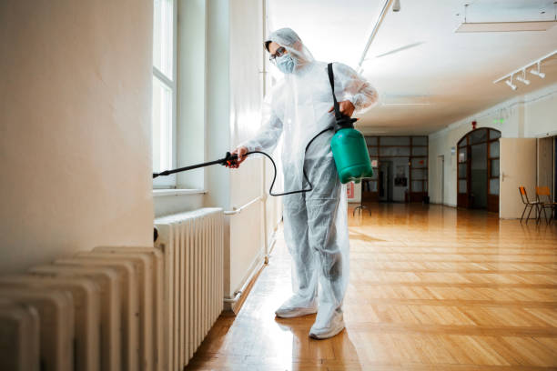 Best Termite Inspection and Treatment  in Delhi, LA